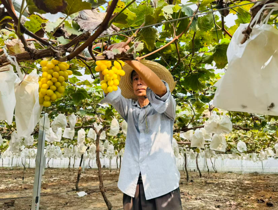 责编, 设有文创体 责编, 设有文创体