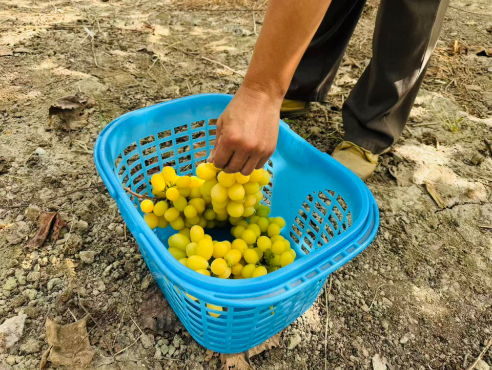 heigh, ng, 三项赛等四 heigh, ng, 三项赛等四